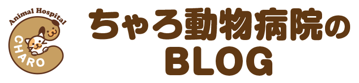 ちゃろ動物病院のブログ