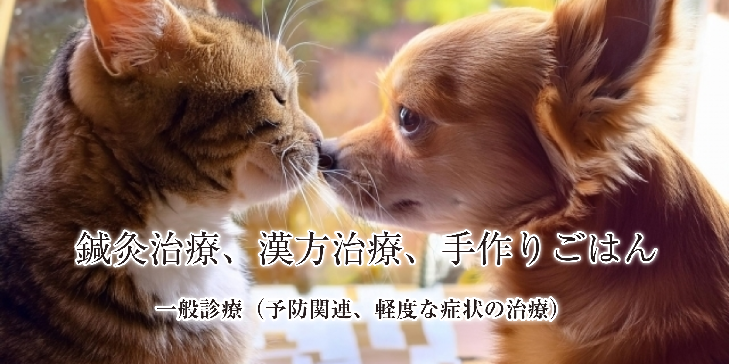 川越｜鶴ヶ島|ちゃろ動物病院
